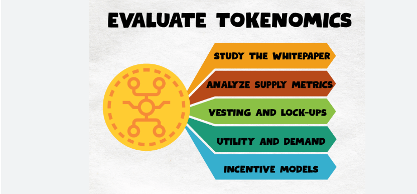 Evaluating tokenomics for long-term investment