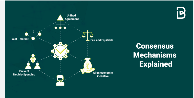 What is the Algorand blockchain consensus mechanism | Explained Simply